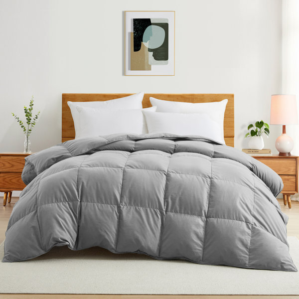 The Twillery Co. 600 Fill Power All Seasons Down Comforter & Reviews Wayfair Canada